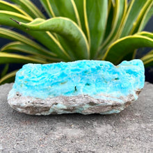 Load image into Gallery viewer, Aragonite Blue Aragonite Raw Stone / Crystal Specimen