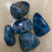 Load image into Gallery viewer, Apatite Tumbled / Tumble Stone / Tumbles