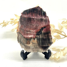 Load image into Gallery viewer, Petrified Wood Fossilised Wood Crystal Slab Raw Stone