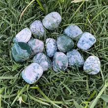 Load image into Gallery viewer, Tree Agate Tumble / Tumbled Stone Crystal