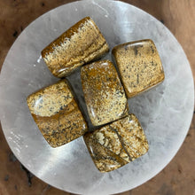 Load image into Gallery viewer, Picture Jasper Tumble-stone / Tumbled stone Crystal