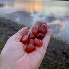 Load image into Gallery viewer, Carnelian Tumble-stone / tumbled stone Crystal
