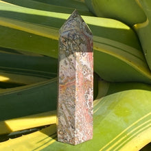 Load image into Gallery viewer, Leopard Skin Jasper Tower Point Crystal