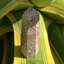 Load image into Gallery viewer, Leopard Skin Jasper Tower Point Crystal