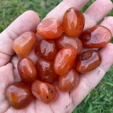 Load image into Gallery viewer, Carnelian Tumble-stone / tumbled stone Crystal