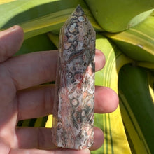 Load image into Gallery viewer, Leopard Skin Jasper Tower Point Crystal