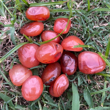 Load image into Gallery viewer, Carnelian Tumble-stone / tumbled stone Crystal