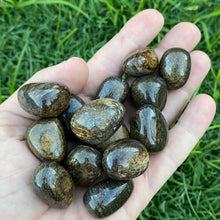 Load image into Gallery viewer, Bronzite Tumble Stone / Tumbled Stone Crystal
