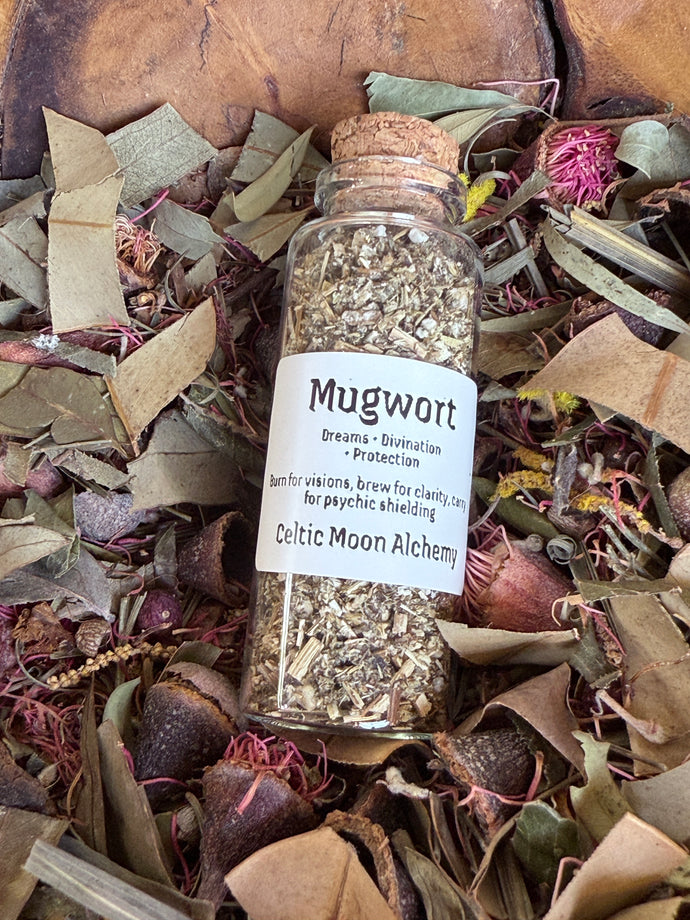 Mugwort - The Dreamweaver’s Ally