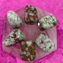 Load image into Gallery viewer, Ocean Jasper Marine Jasper Tumbled / Tumble Stone / Tumbles
