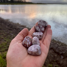 Load image into Gallery viewer, Ocean Jasper Marine Jasper Tumbled / Tumble Stone / Tumbles
