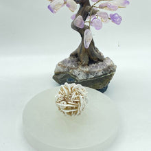Load image into Gallery viewer, Desert Rose Selenite Cluster Raw Crystal Rock
