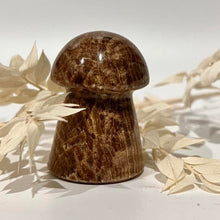 Load image into Gallery viewer, Chocolate Calcite Mushroom Crystal Carving
