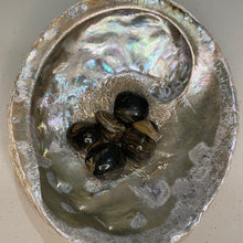 Load image into Gallery viewer, Stromatolite Tumbled / Tumble Stone / Tumbles

