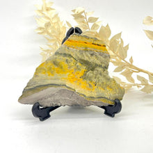Load image into Gallery viewer, Bumble Bee Jasper Slab Polished Raw Stone
