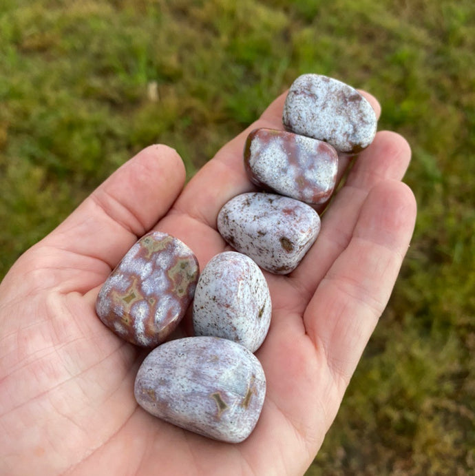 Ocean Jasper Marine Jasper Tumbled / Tumble Stone / Tumbles