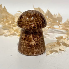 Load image into Gallery viewer, Brown Calcite Mushroom Carving
