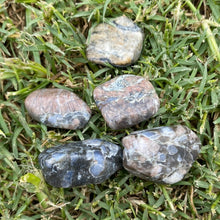 Load image into Gallery viewer, Que Sera Tumbled / Tumble Stone / Tumbles
