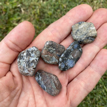 Load image into Gallery viewer, Que Sera Tumbled / Tumble Stone / Tumbles
