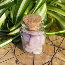Load image into Gallery viewer, Kunzite  Crystals Crystal Chips Magic Gift - One Jar
