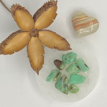 Load image into Gallery viewer, Chrysoprase Tumbled / Tumble Stone / Tumbles
