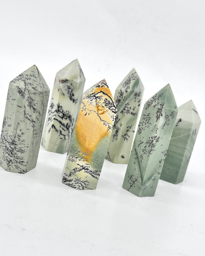 Dendritic Jade  Tower Point Generator stone Crystal