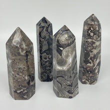 Load image into Gallery viewer, Picasso Jasper Crystal Tower Point Generator
