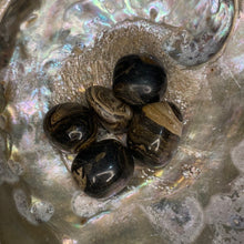 Load image into Gallery viewer, Stromatolite Tumbled / Tumble Stone / Tumbles
