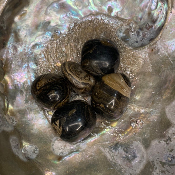 Stromatolite Tumbled / Tumble Stone / Tumbles