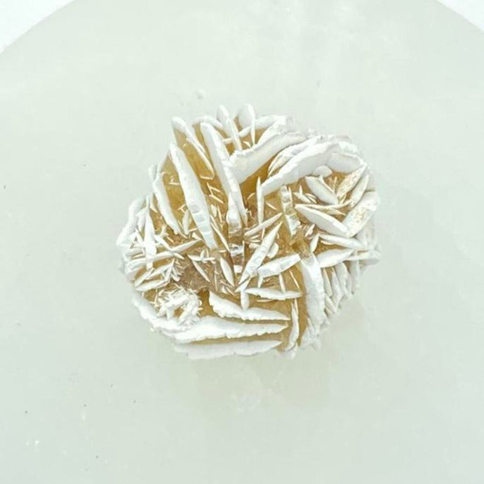 Desert Rose Selenite Cluster Raw Crystal Rock