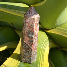 Load image into Gallery viewer, Leopard Skin Jasper Tower Point Generator Crystal
