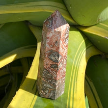 Load image into Gallery viewer, Leopard Skin Jasper Tower Point Generator Crystal
