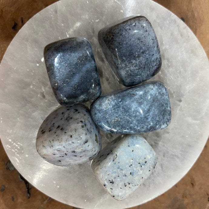 Dendritic Agate Tumble-stone / Tumbled stone Crystal