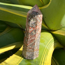 Load image into Gallery viewer, Leopard Skin Jasper Tower Point Generator Crystal
