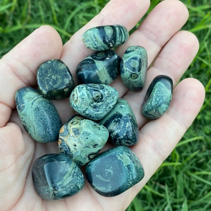 Kambaba  Jasper Tumbled / Tumble  stone Crystal